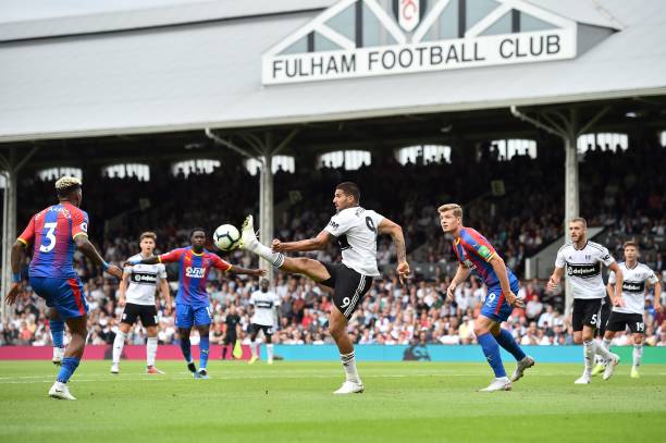 不同环节掌 不同环节掌