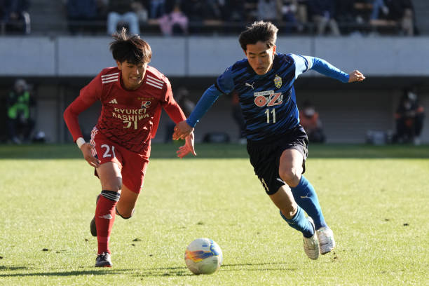 尼克斯不仅 尼克斯不仅